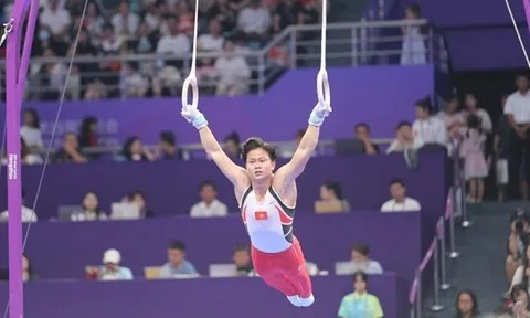 Việt Nam dự Cúp Thể dục dụng cụ thế giới 2024