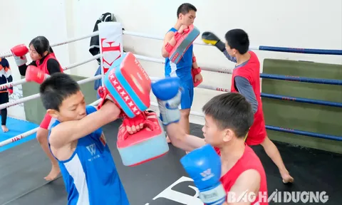 Thể thao Hải Dương kỳ vọng Võ cổ truyền