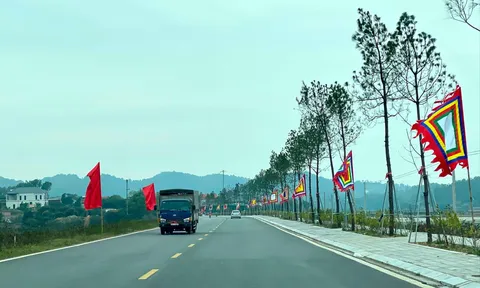 Hơn 850 vận động viên sẽ tranh tài giải Việt dã "Hành trình kết nối di sản văn hóa" tỉnh Hải Dương