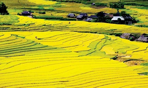 Năm Du lịch quốc gia 2024 kỳ vọng tạo đột phá phát triển cho du lịch Điện Biên