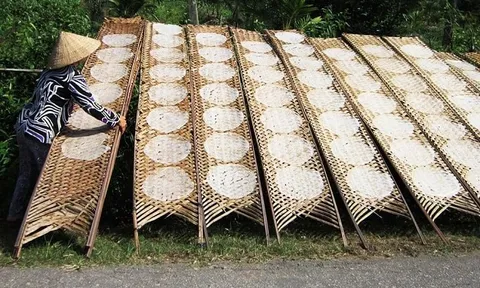 Nghề làm bánh tráng Túy Loan trở thành Di sản văn hóa phi vật thể quốc gia