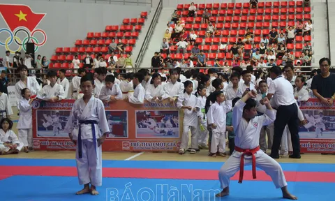 Hà Nam đẩy mạnh phong trào luyện tập môn võ Karatedo