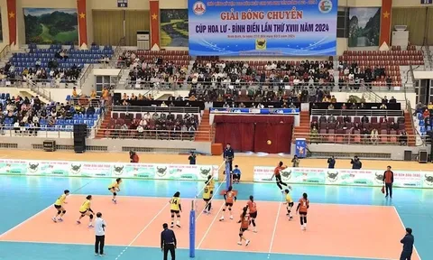 Khai mạc giải Bóng chuyền Cúp Hoa Lư - Bình Điền lần thứ XVIII năm 2024
