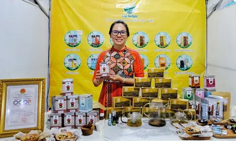 Cuộc thi “Phụ nữ khởi nghiệp sáng tạo và chuyển đổi xanh”: Cơ hội cho các nữ vận động viên giải nghệ 