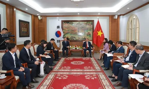 Việt Nam - Hàn Quốc tăng cường hợp tác văn hóa, thể thao và du lịch 