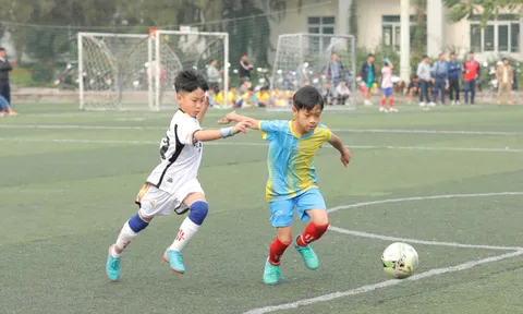 20 đội bóng tranh tài giải Bóng đá Thiếu niên và Nhi đồng tỉnh Bắc Giang năm 2024