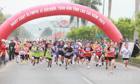 Sôi nổi Ngày chạy Olympic và giải Việt dã truyền thống Báo Lào Cai năm 2024