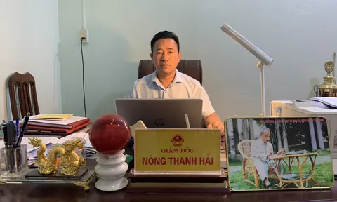 "Thể thao theo gương Bác"