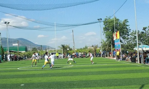 Dấu ấn thể thao Hòa Bình 