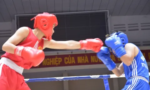 Khởi tranh giải Boxing các đội mạnh quốc gia 2024: Gần 350 vận động viên tham dự