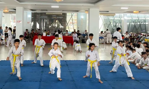 Thị xã Bến Cát: Gần 200 võ sinh Karate đạt yêu cầu thi thăng đai