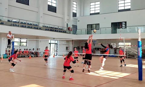 Khai mạc giải vô địch Bóng chuyền nam - nữ tỉnh Bình Dương năm 2024