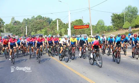 Hơn 350 tay đua tham dự giải đua Xe đạp “Về chiến khu” mở rộng huyện Vĩnh Cửu 2024