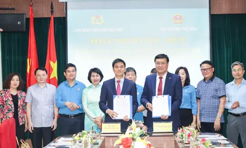 Tăng cường đẩy mạnh phong trào thể dục thể thao trong cán bộ, công chức, viên chức, người lao động giai đoạn 2024-2028