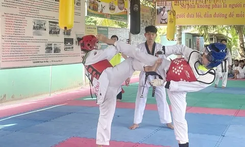 Liên đoàn Taekwondo Đồng Tháp: Tạo nền tảng phong trào Taekwondo phát triển mạnh mẽ