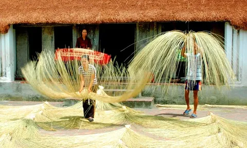 Nghề cói Kim Sơn là Di sản văn hóa phi vật thể quốc gia
