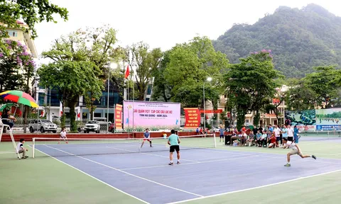 Giải Quần vợt Cúp các câu lạc bộ tỉnh Hà Giang năm 2024