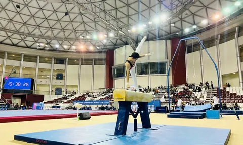 Thể dục dụng cụ nam Việt Nam không giành được suất dự Olympic 2024