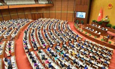 Gắn kết hài hòa giữa phát triển kinh tế với văn hóa, xã hội