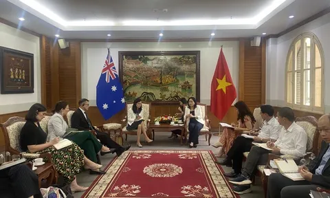 Việt Nam - Australia tăng cường hợp tác phòng chống bạo lực gia đình, thực hiện bình đẳng giới
