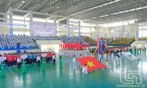 Khai mạc Hội khỏe Phù Đổng toàn quốc lần thứ X - khu vực 2 