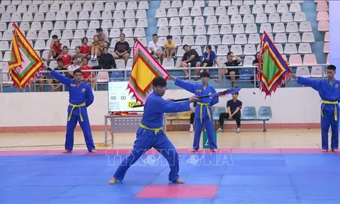 Hơn 250 vận động viên tham dự giải vô địch Vovinam miền Bắc