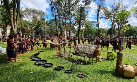Tập huấn, bồi dưỡng chuyên môn, nghiệp vụ, truyền dạy văn hóa phi vật thể