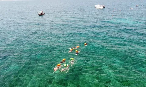 Giải Bơi vượt biển Lý Sơn Cross Island 2024