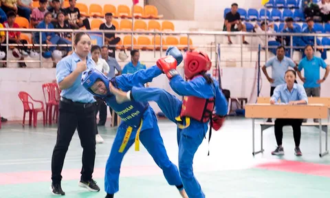 An Giang phát triển mạnh phong trào luyện tập Vovinam