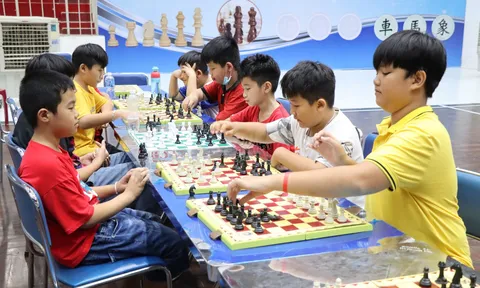 Tây Ninh phát triển phong trào cờ Vua cho thiếu nhi