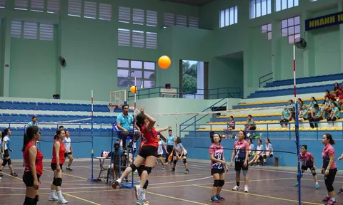 Hơn 200 vận động viên tranh tài giải Bóng chuyền hơi nữ tỉnh Bình Thuận năm 2024