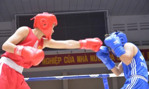 Khởi tranh giải Boxing trẻ toàn quốc 2024