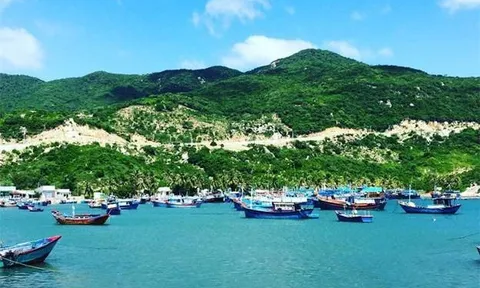Nhiều hoạt động đặc sắc trong Ngày Văn hóa, Du lịch Ninh Thuận tại Đà Nẵng năm 2024