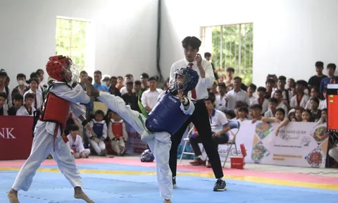 Hơn 200 võ sĩ tranh tài giải vô địch Taekwondo tỉnh Gia Lai năm 2024