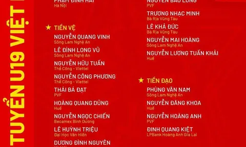 Đội tuyển U19 Việt Nam chia tay tiền vệ Việt kiều