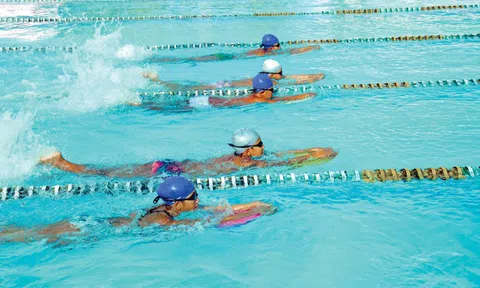 Bơi lội Long An trăn trở tìm lớp kế cận