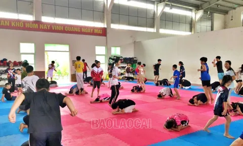Lào Cai có 210 vận động viên tham dự Hội khỏe Phù Đổng toàn quốc lần thứ X năm 2024
