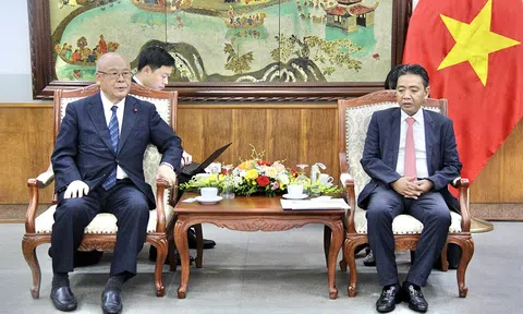 Việt Nam - Nhật Bản tăng cường hợp tác văn hóa, thể thao và du lịch