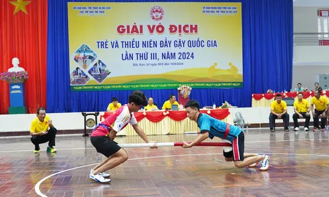 Giải vô địch trẻ và thiếu niên Đẩy gậy quốc gia lần thứ III 
