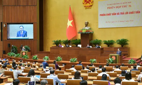 Tập trung thực hiện có hiệu quả công tác thống kê du lịch
