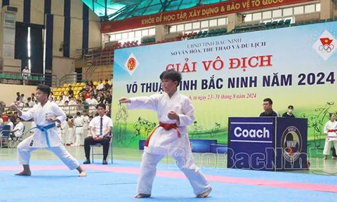 Giải vô địch Võ thuật tỉnh Bắc Ninh năm 2024