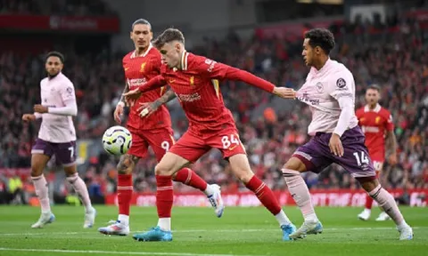Vòng 2 Premier League: Liverpool thắng trận thứ hai liên tiếp, Chelsea nhấn chìm đối thủ