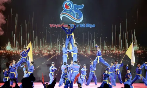 Giải vô địch Vovinam tỉnh Bình Dương 2024