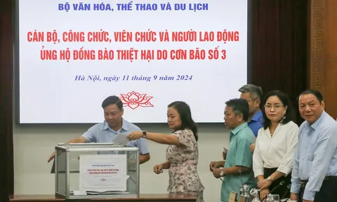 Bộ Văn hóa, Thể thao và Du lịch phát động quyên góp, ủng hộ đồng bào bị thiệt hại do cơn bão số 3