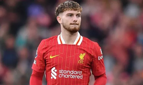 Liverpool tổn thất lực lượng sau loạt trận đấu quốc tế