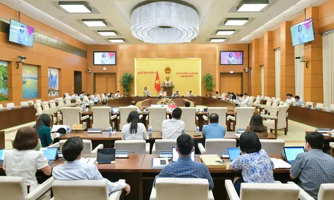 Tạo lập hành lang pháp lý đầy đủ, đồng bộ, thống nhất để quản lý hoạt động quảng cáo