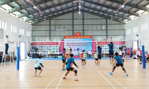 Giải Bóng chuyền vô địch tỉnh Đồng Tháp năm 2024