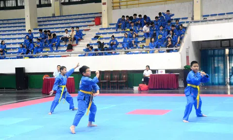 Gần 200 vận động viên tranh tài giải vô địch Vovinam các nhóm tuổi tỉnh Quảng Ninh lần thứ X 