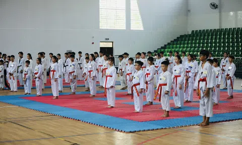 Liên đoàn Teakwondo Bình Dương tổ chức kỳ thi thăng đẳng năm 2024