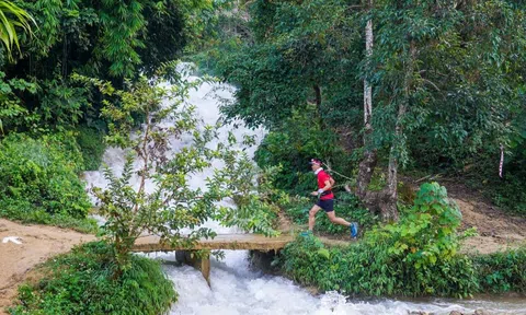 Sẵn sàng chinh phục Vietnam Jungle Marathon - Pù Luông 2024